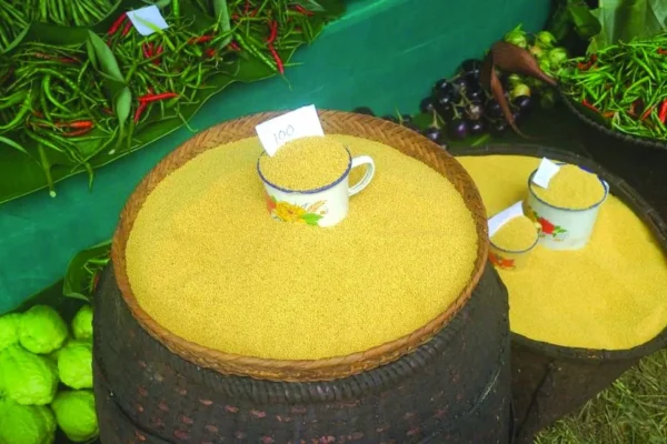 Ochü Millet Festival