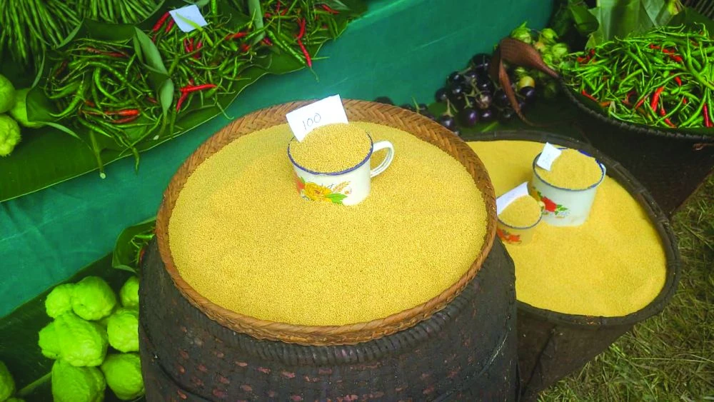 Ochü Millet Festival