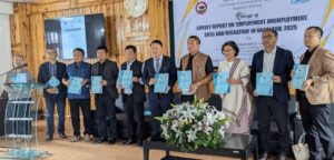 Nagaland survey finds one in six residents unemployed and lacking skills