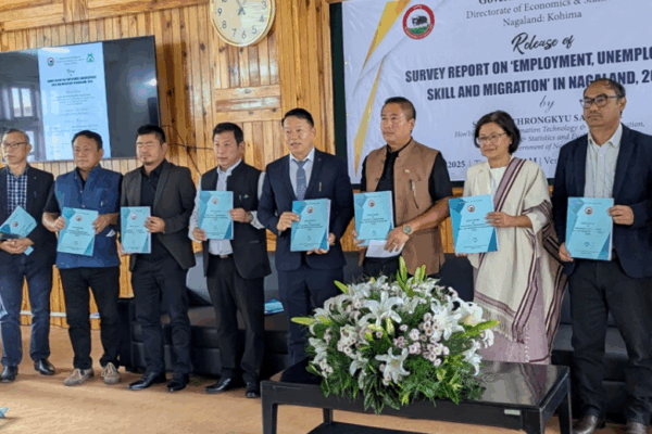 Nagaland survey finds one in six residents unemployed and lacking skills Nagaland survey finds one in six residents unemployed and lacking skills